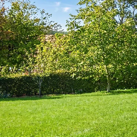 Maison Charmante A Ranrupt Avec Jardin Et Terrasse * Grandrupt