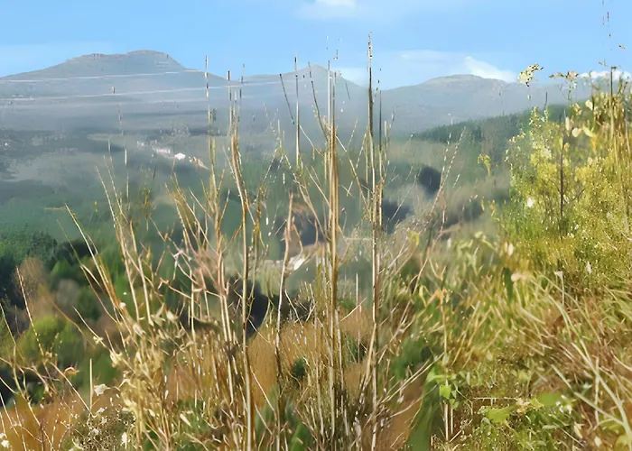 Maison Charmante A Ranrupt Avec Jardin Et Terrasse Grandrupt
